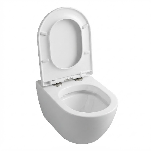 Wall Mounted Ewc