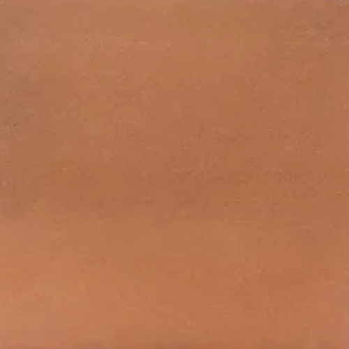 Terracotta Digital Parking Floor and Wall Tile Code36644 (400x400mm, Matt)