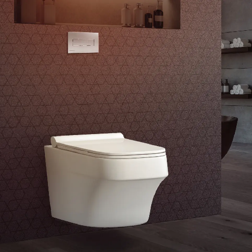 Amazon Aquasheet Wall Mount Toilet