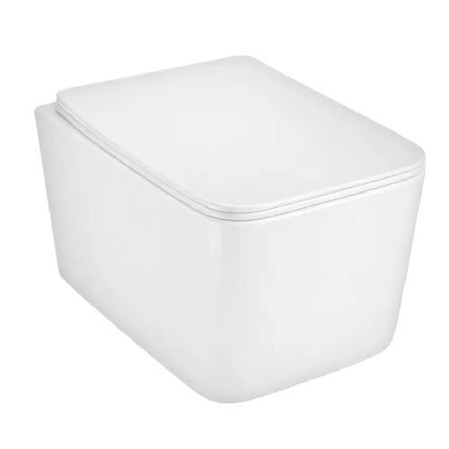 Belvia Wall Mount Toilet